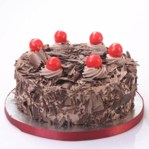 Chocolate Forest