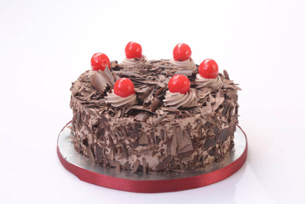 Chocolate Forest
